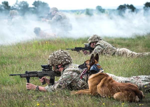 Military dogs and their handlers taking part in a live fire training exercise EMN-210514-163309001