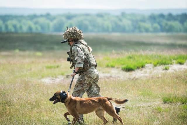Military dogs and their handlers taking part in a live fire training exercise EMN-210514-163345001