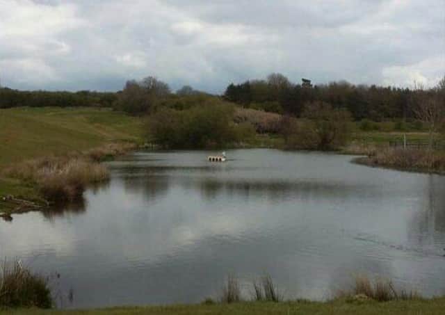 The duck house at Melton Country Park which has now been removed to protect wildlife habitats in the park
PHOTO VANESSA JACKSON EMN-210518-152651001
