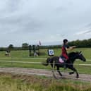 Tilly in action.