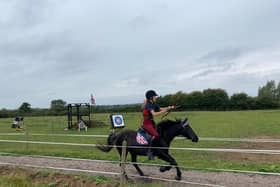 Tilly in action.
