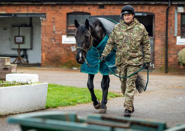 Corporal of The Horse Andrew Mancey exercising Animals as part of the Christmas duties within the Defence Animal Training Regiment in Melton Mowbray last year
Photographer:
Cpl Paul Watson / MoD Crown EMN-210927-124814001