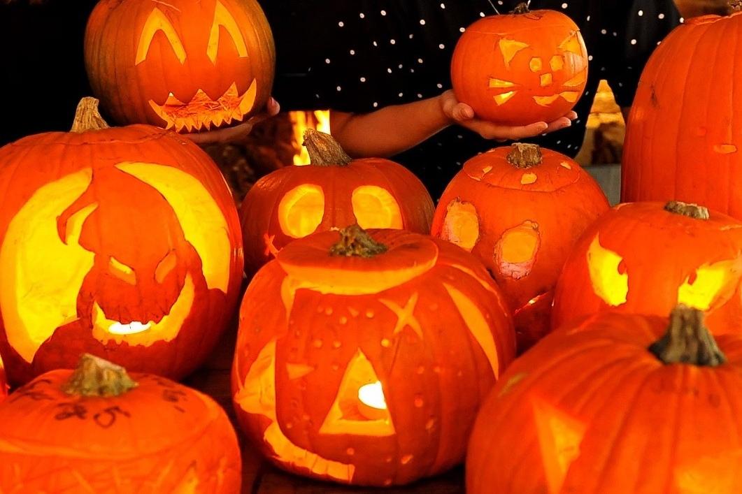 Aldi and Lidl beaten by two supermarket rivals in Halloween pumpkin price test