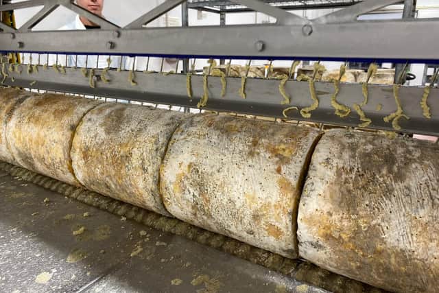 Young Stilton cheese is pierced at Long Clawson Dairy after about four weeks of maturing