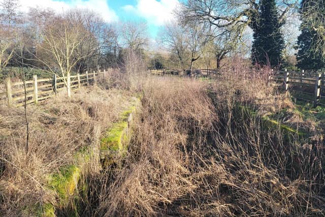 The overgrown stretch of the Melton Navigation at the Eye Kettleby lock prior to the massive clean-up