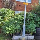 The overgrown garden in New Street, Melton, where the resident was prosecuted