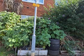 The overgrown garden in New Street, Melton, where the resident was prosecuted