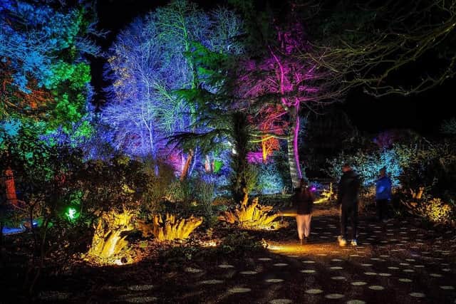 The mirror ball woodland experience at Belvoir Castle's Spectacle of Light