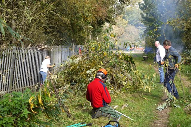 Land is cleared for a riverside park as part of the Eye Kettleby lock restoration