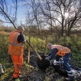 Trees being planted in Leicestershire