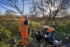 Trees being planted in Leicestershire