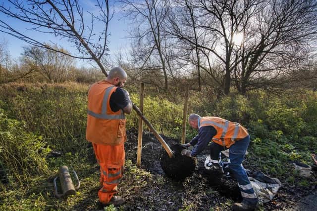 Trees being planted in Leicestershire