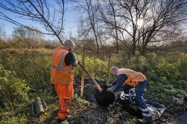 Trees being planted in Leicestershire