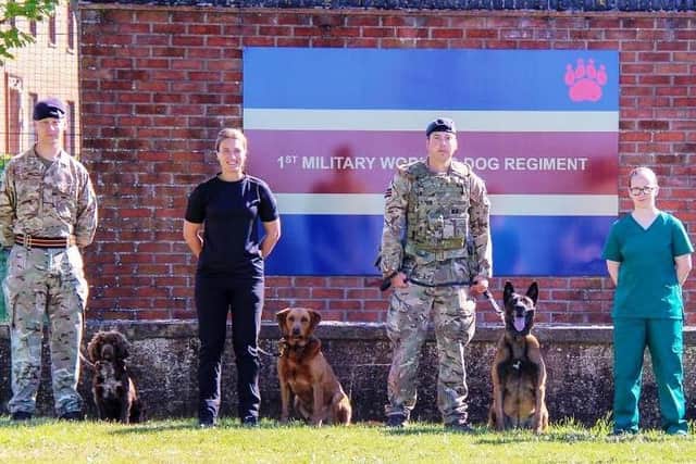 Members of the 1st Military Working Dog Regiment (RAVC) at North Luffenham