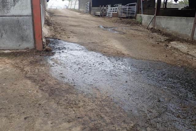 Some of the silage leaking into the farmyard at Grange Farm, Welby
PHOTO ENVIRONMENT AGENCY