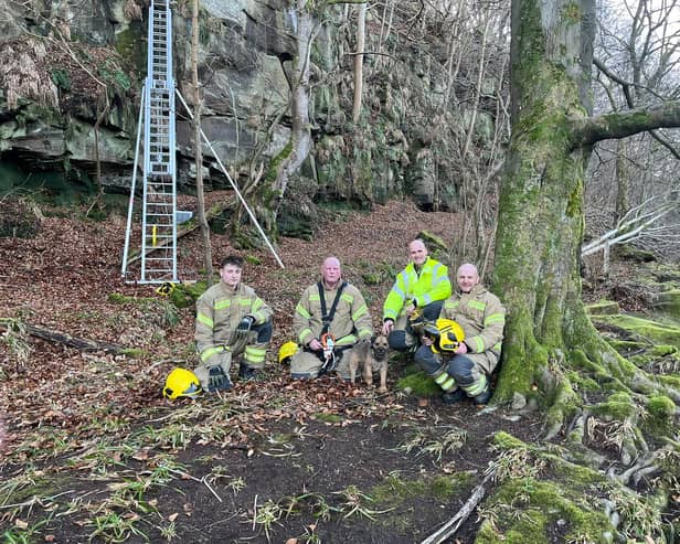 Watch the moment a stranded dog gets rescued from a cliff