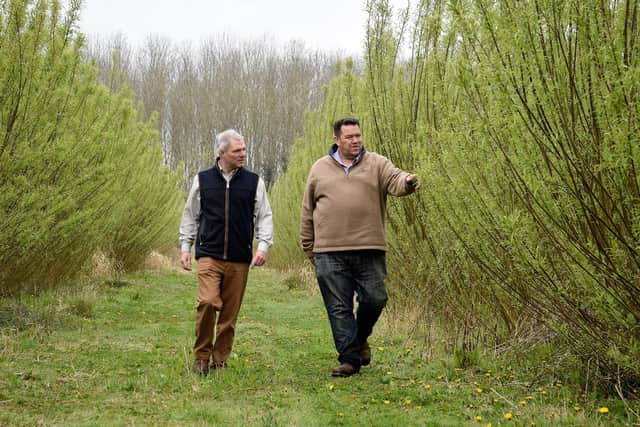 Keith Challen and Ben Larter inspecting the sustainable Coppice Willow on the Belvoir Farm