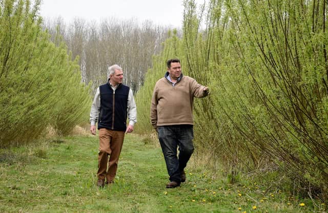 Keith Challen and Ben Larter inspecting the sustainable Coppice Willow on the Belvoir Farm