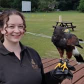 Bird of prey, Scooby, with handler Amy at the Belvoir trust's family fun day