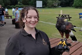 Bird of prey, Scooby, with handler Amy at the Belvoir trust's family fun day