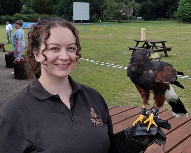 Bird of prey, Scooby, with handler Amy at the Belvoir trust's family fun day