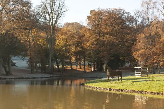 The stunning Frog Hollow in the parkland at Belvoir Castle