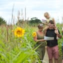 Lots of family fun at Wistow Maze