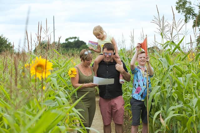 Lots of family fun at Wistow Maze