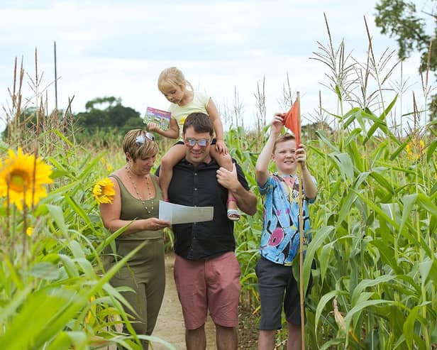 Lots of family fun at Wistow Maze
