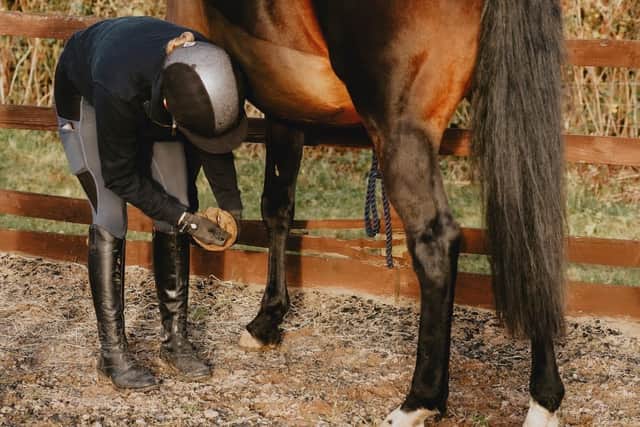 Hooves are inspected at Brooksby's college equine centre