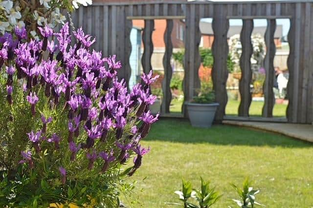 One of the 10 gardens opened for the St John's Church fundraiser