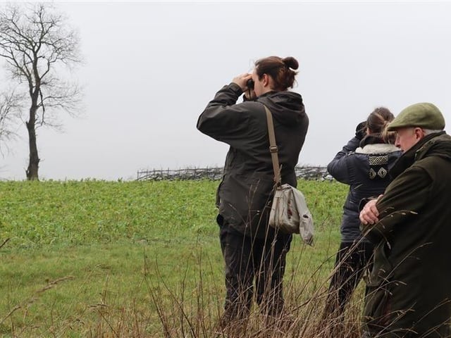 Binoculars out for the Big Farmland Bird Count