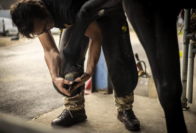 An army farrier re-shoes a horse at the DATR in Melton