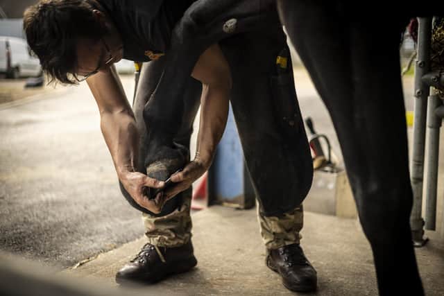 An army farrier re-shoes a horse at the DATR in Melton