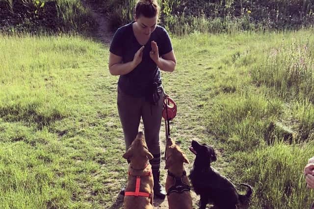 Louise Haslam training dogs at the family business at Eaton