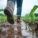 More famland faces flooding (photo: Adobe)