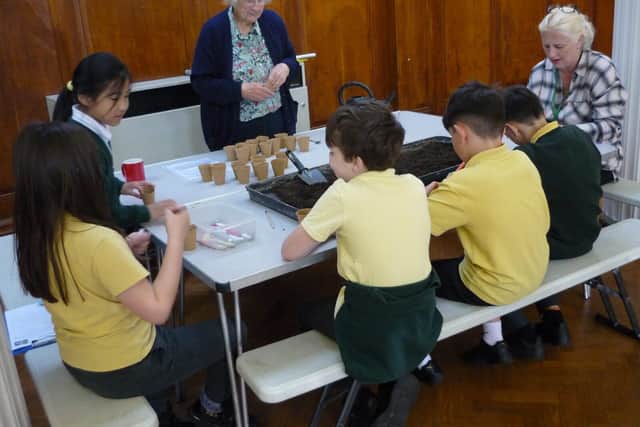 Botanic Garden Seed planting