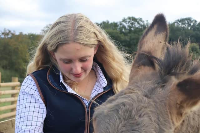 A new animal park launches at Belvoir Castle on October 19