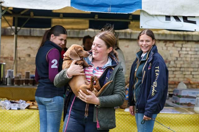 Lot of visitors brought their beloved dogs with them to the Kennels Open Day IMAGE George Parish