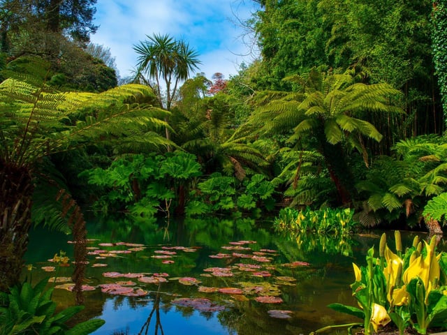 The Lost Gardens of Heligan in Cornwall are spectacular