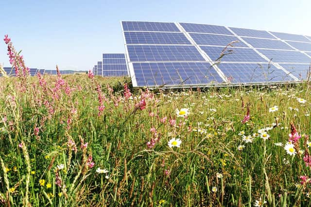 A solar farm