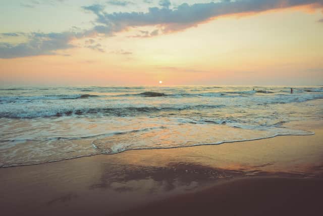Photo by Camille Minouflet on Unsplash