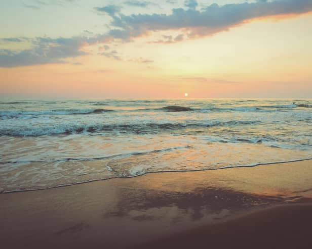 Photo by Camille Minouflet on Unsplash