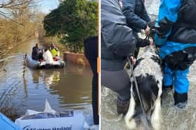 Will Moir goes out on his motorboat to rescue animals from a flooded field near Barrow-upon-Soar (left) one of the struggling horses is pulled to safely