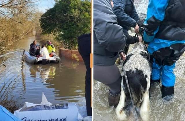 Will Moir goes out on his motorboat to rescue animals from a flooded field near Barrow-upon-Soar (left) one of the struggling horses is pulled to safely