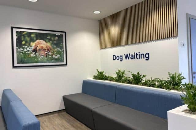 The waiting room for dogs at Rutland and Kings Veterinary Centre