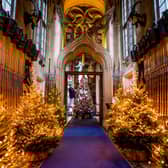 Belvoir Castle transformed into festive wonderland
PHOTO CHARLOTTE GRAHAM
