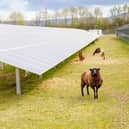 An image of what the planned solar farm would look like at Potters Hill