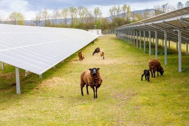 An image of what the planned solar farm would look like at Potters Hill