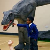 Reggie the animatronic T-Rex with a pupil at one of the Giant Journeys workshops.